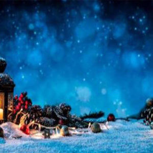 White Christmas - vonný olej na výrobu sviečok