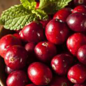 Cranberry - vonný olej na výrobu sviečok