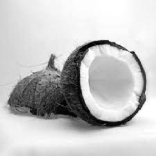 Black Coconut - vonný olej na výrobu sviečok
